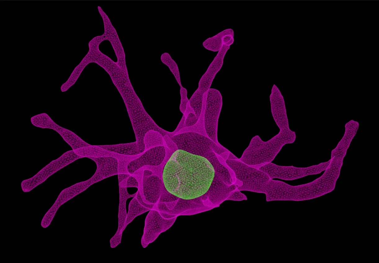 Sentinal4D Advances Cancer Research with Lightning AI, Achieving 2x Faster Development