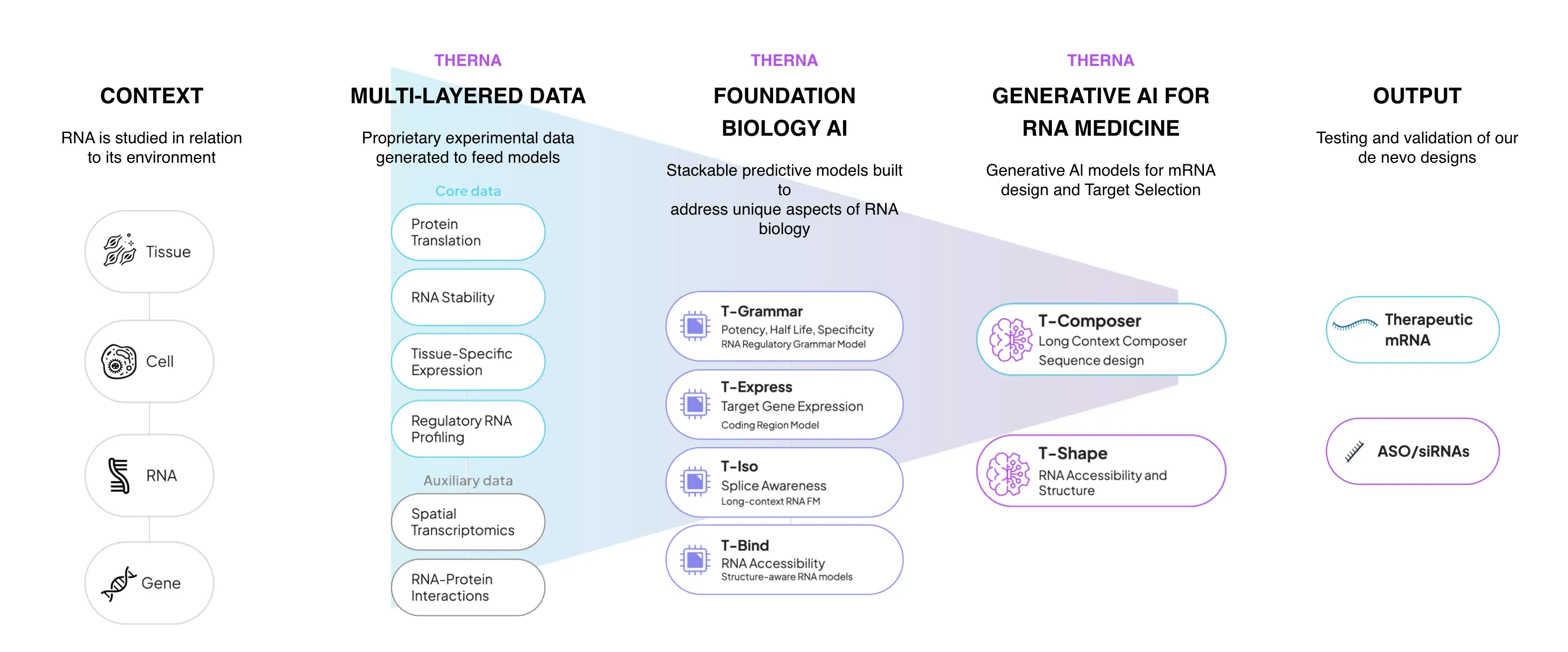 RNA-Logix™, the only AI platform designed for both mRNA and ASO/siRNA therapeutics: from biological context through multi-layered data and foundation models to generative RNA design.